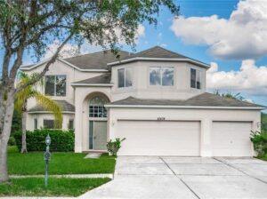 New Roof In New Tampa